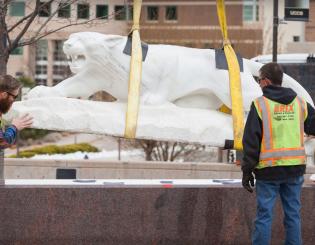 Mountain lion finds new home on El Pomar Plaza